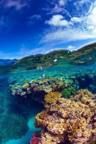 Barrier Reef - Queensland, Australia